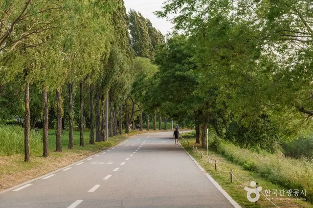 잠원 한강공원 사진