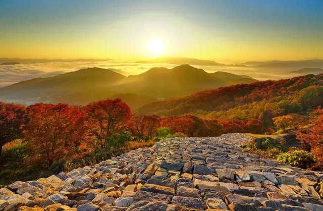 계족산 황톳길 사진