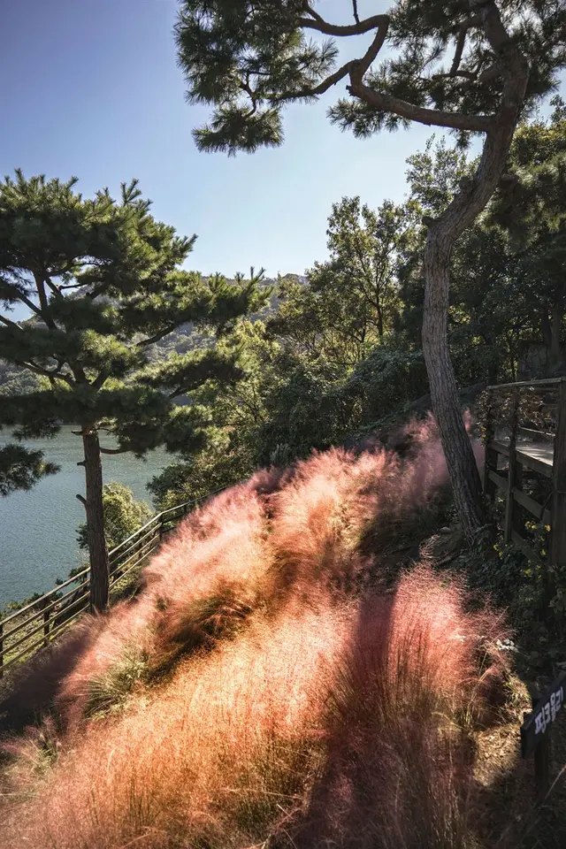 수생식물학습원 사진