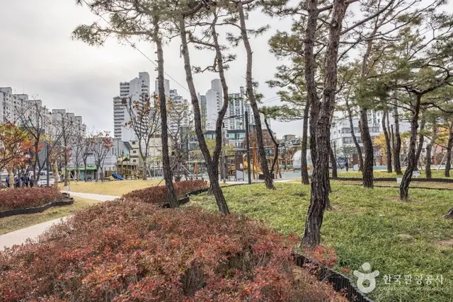 구로리어린이공원 사진