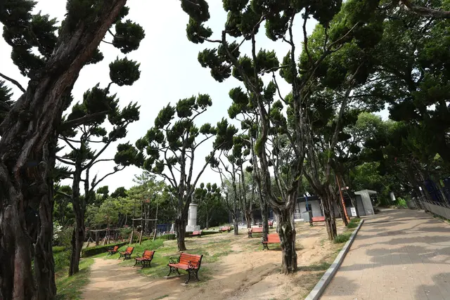 달성공원 사진