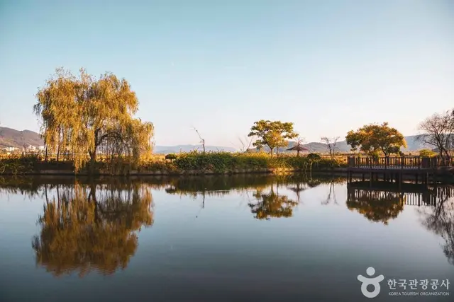 경북천년숲정원 사진