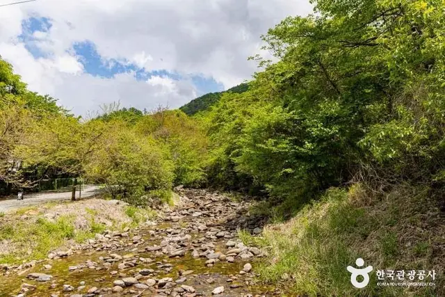달재오토캠핑장 사진