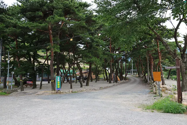 힐링캠프 사진