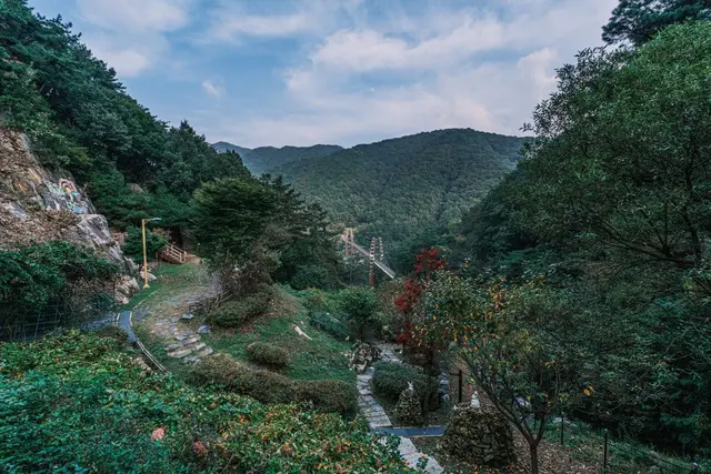 좌구산 자연휴양림 사진