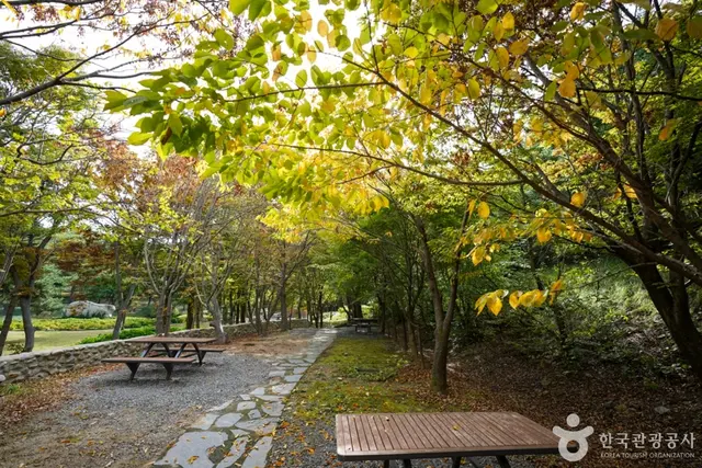 경상북도수목원 사진
