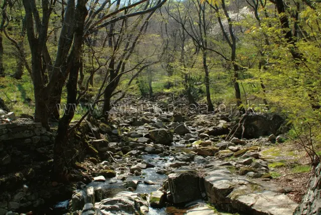 동학사계곡 사진
