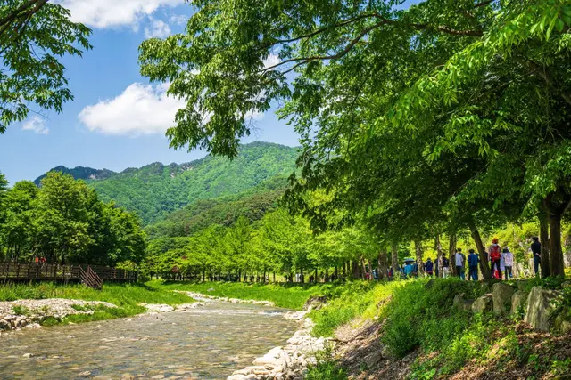 문경새재도립공원 사진