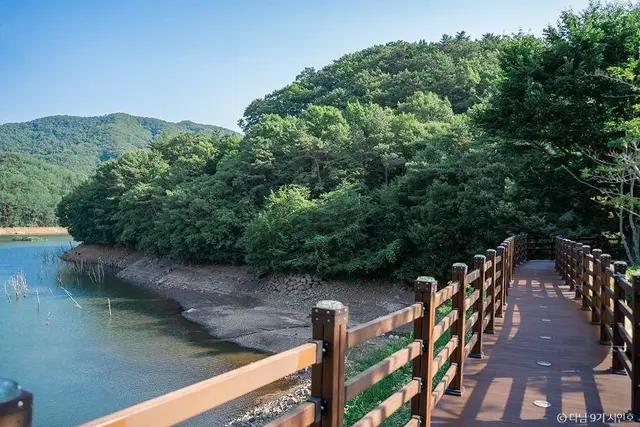 제암산자연휴양림 사진