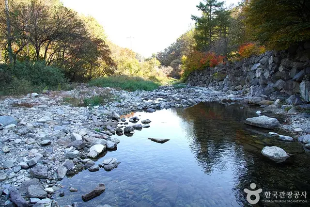 담터계곡 사진