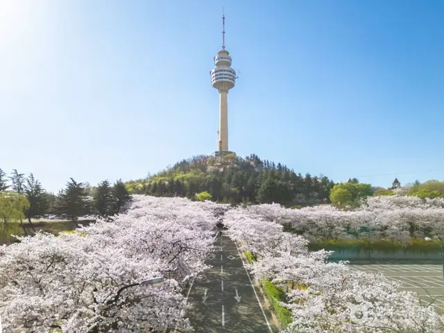 이월드 83타워 사진