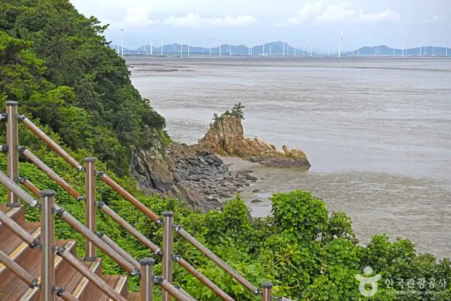 백수해안공원 사진