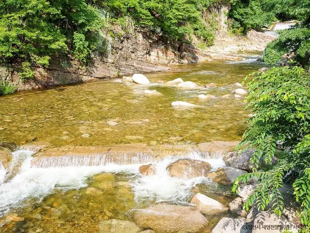 치산계곡 사진