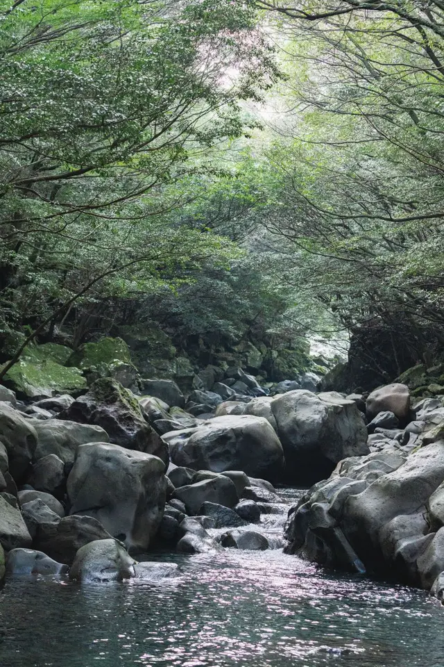 돈내코유원지 사진