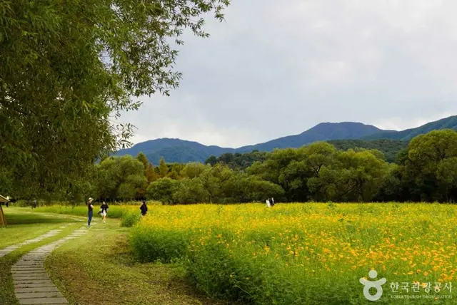 물의정원 사진