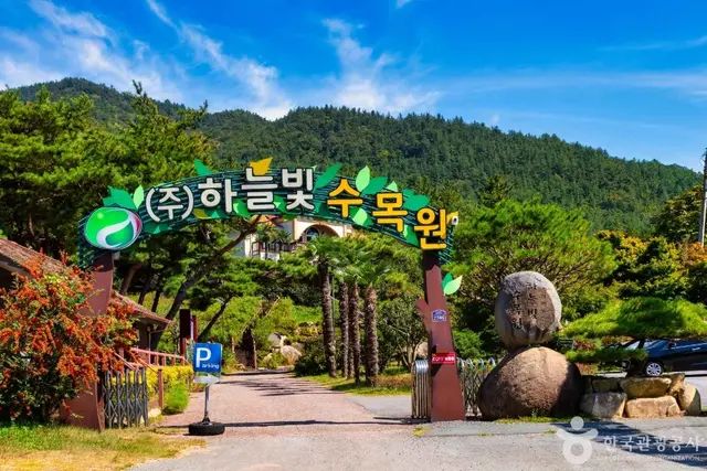 하늘빛수목원 사진
