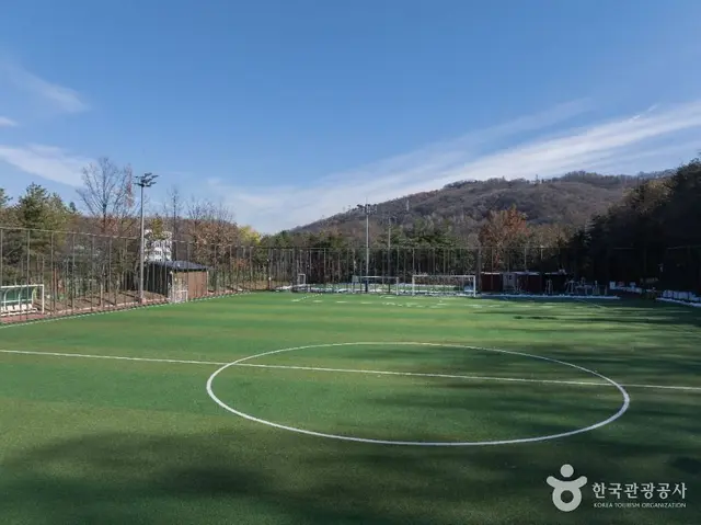 방배배수지체육공원 사진