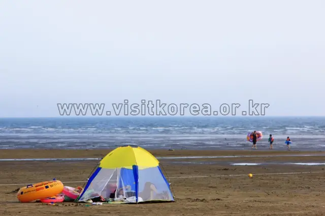 몽산포해수욕장 사진