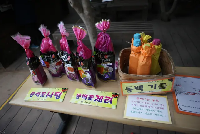 오동도 사진