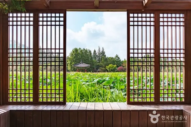 덕진공원 사진