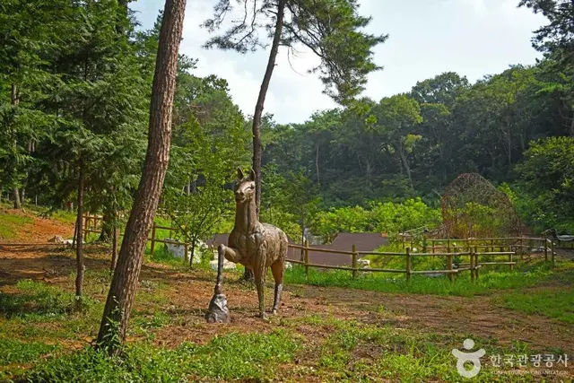 군산 킹콩놀이터 사진