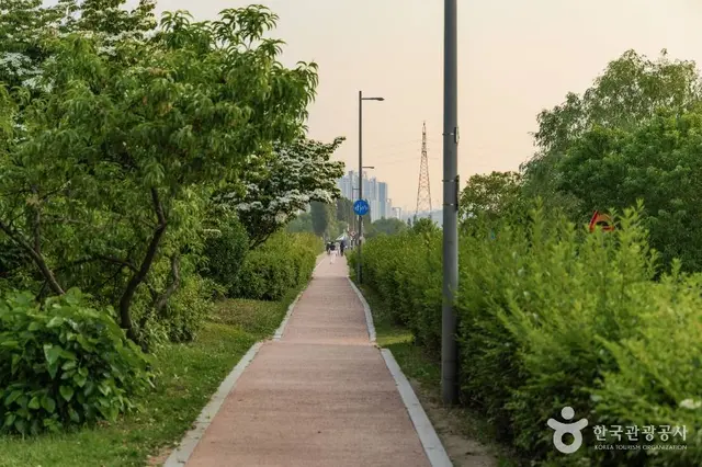 잠원 한강공원 사진