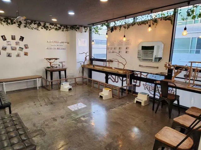 미어캣인더시티 사진
