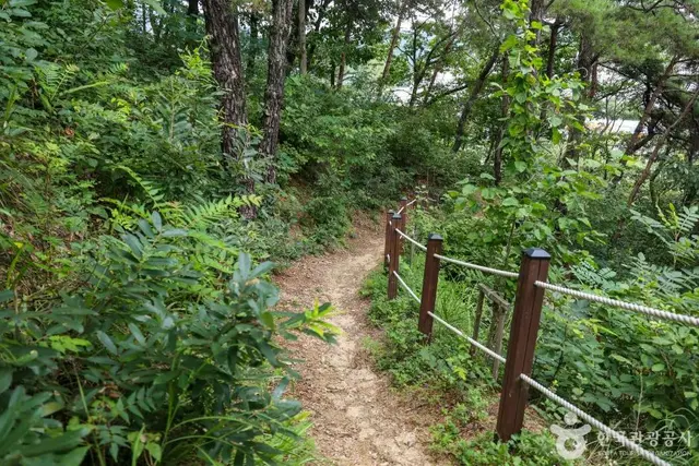 초지공원 사진