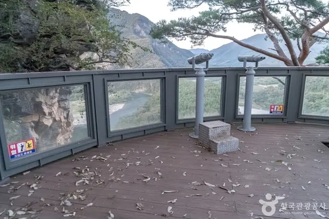 나리소전망대 사진