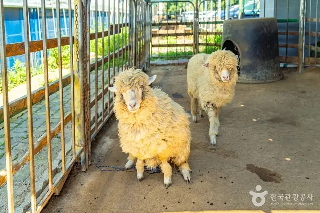 강릉생태체험박물관 자연아놀자 사진