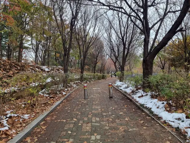 몽마르뜨공원 사진