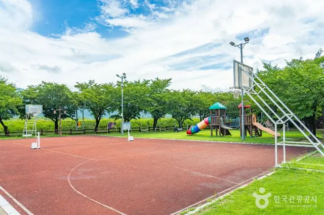 서시천체육공원 사진