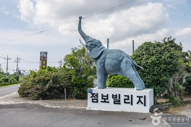 점보빌리지 사진