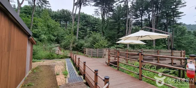 잣향기푸른숲 유아숲체험원 사진