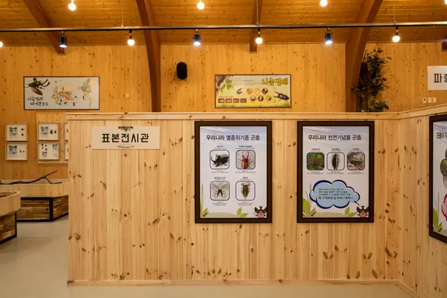 담양곤충박물관 사진