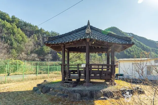 삼척 가시오가피마을 사진