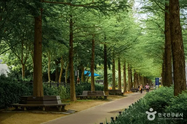 한밭수목원 사진