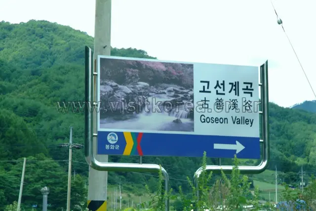 고선계곡 사진