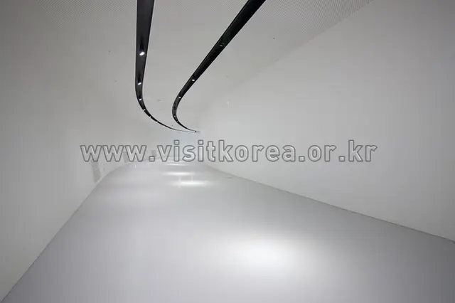 동대문디자인플라자 사진