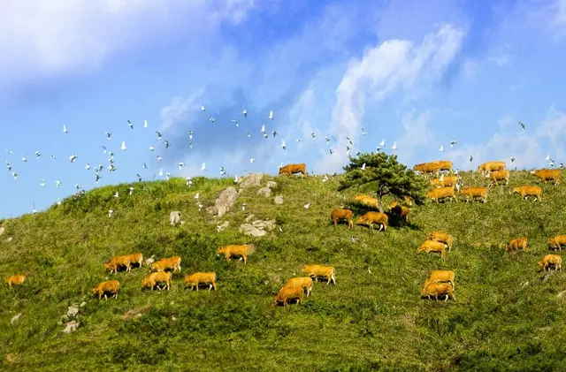 서산한우목장 웰빙산책로 사진