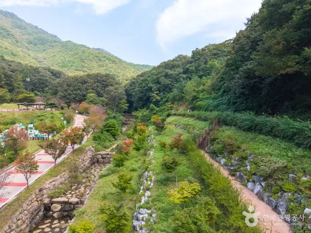 팔공산금화자연휴양림 사진