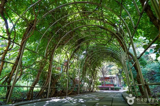 고양 피크닉시민공원 사진