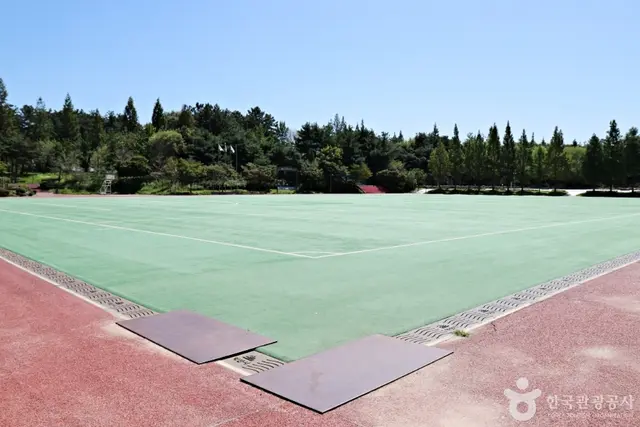 중앙체육공원 사진