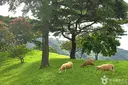 지리산호수공원 사진