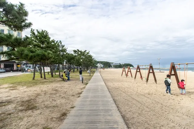 낙산해수욕장 사진