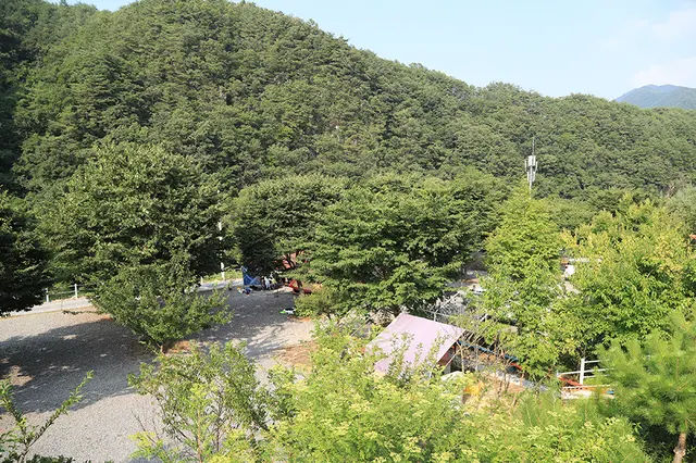 새막골캠핑장 사진