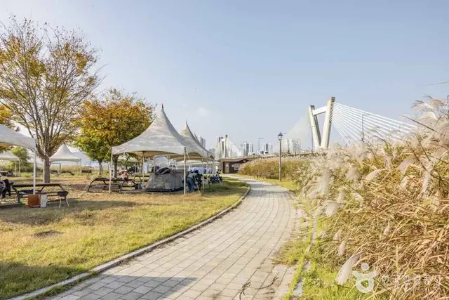 숲뜰근린공원 사진