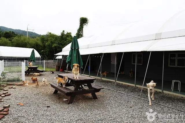 주주팜 동물농장 사진