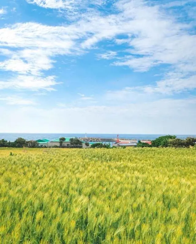 가파도 소망전망대 사진