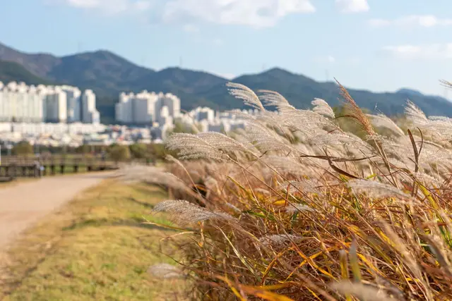 대저생태공원 사진